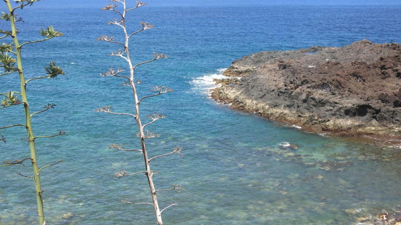 El Roque 205 - Sustainability Off The Beaten Track Tacoronte Eksteriør billede